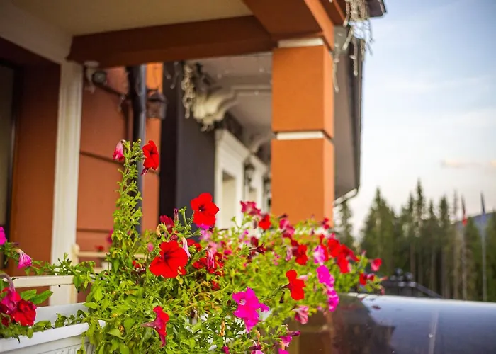 Petros 酒店 布克维